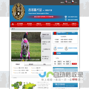 东德牧羊犬,东德牧羊犬种公,东德牧羊犬种母,东德DDR犬出售,东德DDR工作犬,嗅探犬,缉毒犬,防暴犬,护卫犬,德牧,K9工作犬,东德DDR犬,工作线德牧,工作系德牧,德国牧羊犬,北京德牧进口